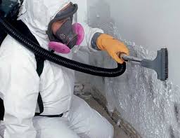 Best Residential Mold Inspection & Testing  in Mount Healthy, OH